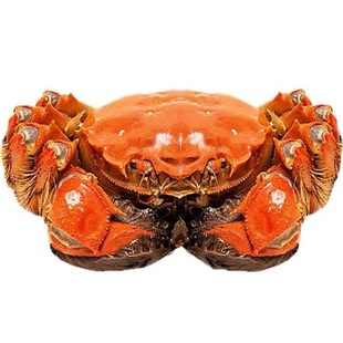 【活蟹】兴化精品红膏大闸蟹鲜活螃蟹超大蟹4.5两公3.5两全母8只