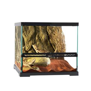 玻璃缸雨林缸爬宠饲养箱角蛙蜘蛛蜥蜴睫角守宫带盖双开门树栖爬缸