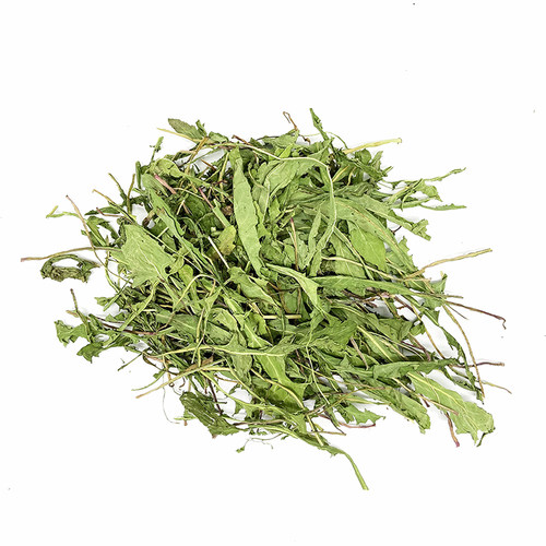 26年新蒲公英草 兔子牧草龙猫豚鼠干草清热解暑消炎去火保健250g
