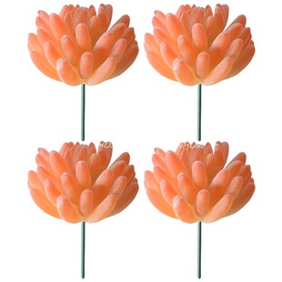 仿真多肉植物摆件橙色黄色多肉造景摆设家居客厅桌面窗台装饰盆景