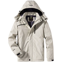 Слоновая кость