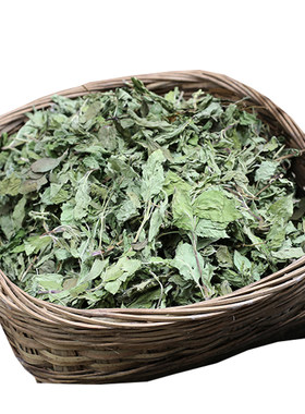 农家新鲜无硫当季新货清凉薄荷叶