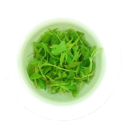 微苦回甘四川青山绿水小叶苦丁茶