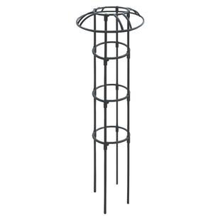 单双圈伞形爬藤架小型园艺花架铁线莲灯笼花攀爬架植物月季花支架