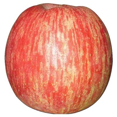 【5A品质】正宗洛川苹果产地直发