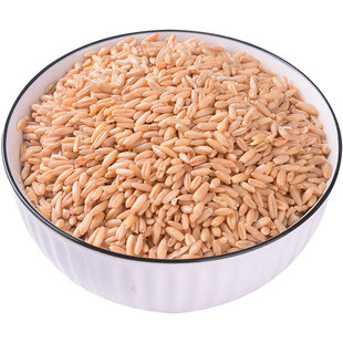 2024年新燕麦米新米三主粮胚芽生燕麦米粗粮糙米五谷杂粮5斤