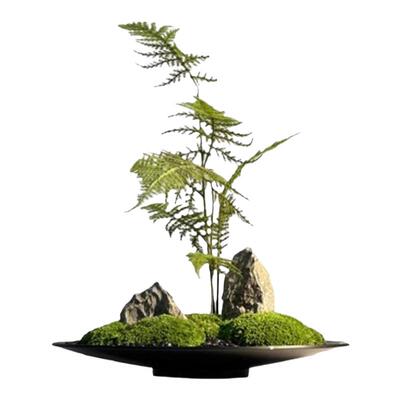 新中式仿铜铁艺金属花器前台茶室禅意仿真文竹青苔盆栽桌装饰摆件