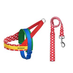 未卡Chroma宠物遛狗胸背牵引绳套装快套式大中小型犬防爆冲