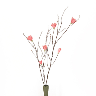 宋式美学玉兰花长枝干花大号花束天然干树枝手工干花开放格玄关柜