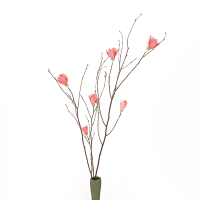北欧玉兰干枝干花花束自然玉兰花