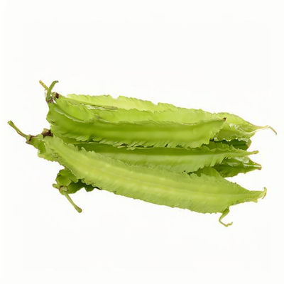 四棱豆种子龙豆蔬菜种子