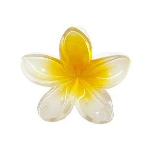 国内现货 EMI JAY法式鸡蛋花抓夹发夹易梦玲绝美渐变emijay