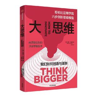 大思维 哥伦比亚商学院六步创新思维模型 希娜艾扬格著 中信出版社图书 正版