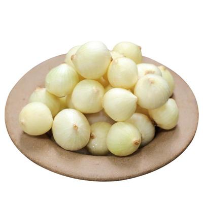 新货苦藠头野生苦叫野小蒜苦茭团葱薤白小根葱野葱头洋葱5斤圆葱