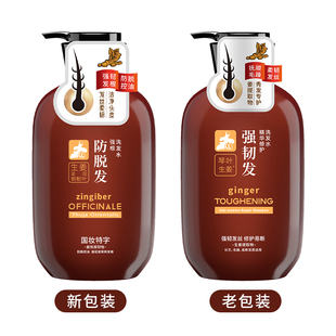 琴叶生姜防发强根保养持洗发水500ML洗发露