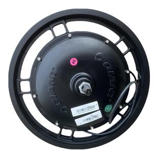 16寸48v无刷无齿电机后轮 400w电机 原车电机马达