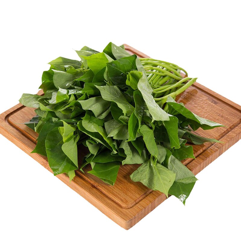 新鲜红薯叶天然地瓜叶蔬菜农家番薯叶现摘野菜红苕嫩尖3斤装包邮