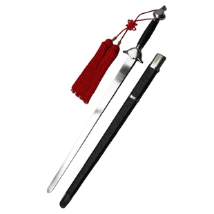 太极剑武术软剑舞蹈剑术剑花练习剑女式男士专用半硬软响剑舞宝剑