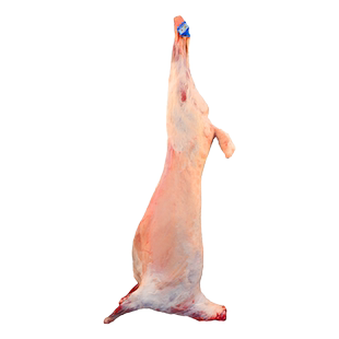 羊肉新鲜现杀宁夏散养黑山羊整只黑山羊肉礼盒全羊整只滩羊肉