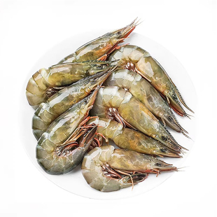 舟山海捕滑皮虾青壳大海虾海捕虾鲜活速冻新鲜条虾金钩呛大活皮虾