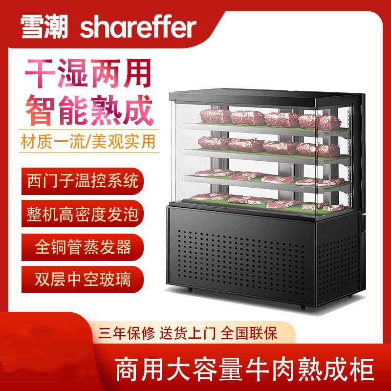 牛肉熟成柜商用湿式干式牛羊肉肉类排酸保鲜冷藏冷冻展示柜