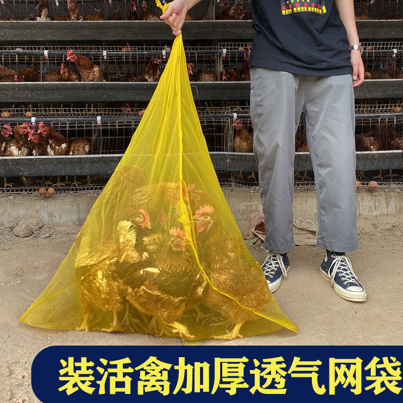 装活禽网兜装鸡鸭的网袋子纱网大号家禽塑料尼龙编织袋加密小网眼