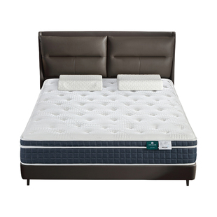 雅兰加硬舒脊椰棕床垫进口乳胶独袋弹簧天丝面布七区护脊 蘭骑士