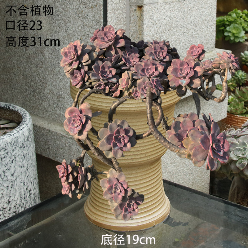 特大号粗陶素烧透气大底孔多肉兰花法师紫乐老桩绿植陶瓷花盆