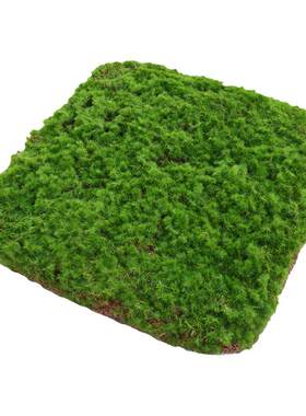 蝶舞仿造型苔藓摆件软装造景假山