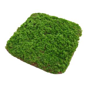 蝶舞仿造型苔藓摆件软装造景假山