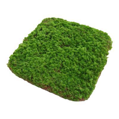 蝶舞仿造型苔藓摆件软装造景假山