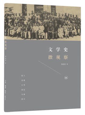 文学史微观察 李洁非  生活·读书·新知三联书店旗舰店