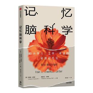 记忆脑科学 助力学习 工作 考试的高效记忆法 安德鲁E布德森著  一本帮助你改善记忆 掌握巧妙记忆法的实用而有趣的科普书