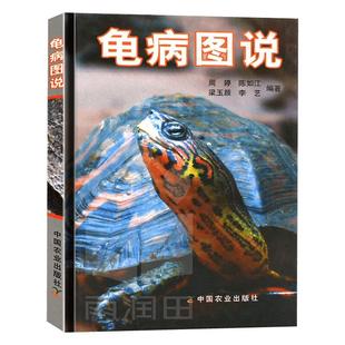 正版龟病图说 养龟书籍乌龟养殖技术养龟养好宠物龟手绘图鉴乌龟大全李艺金钱龟安布闭壳龟金钱龟乌龟书籍龟肠胃炎的书乌龟疾病书