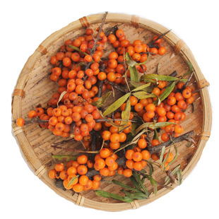 山西吕梁野地沙棘叶500克沙棘茶叶嫩叶可做沙棘茶新鲜沙棘干叶