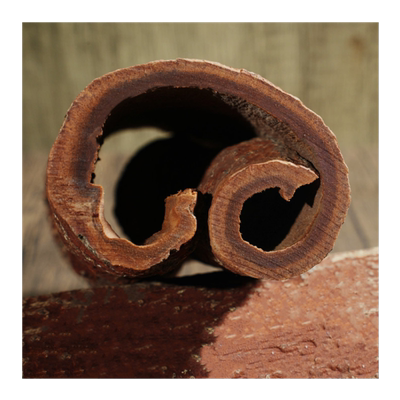 肉桂油桂广西紫油桂罐装