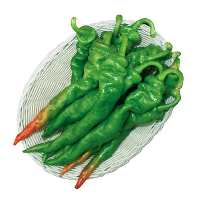 螺丝椒种子四季蔬菜阳台盆栽