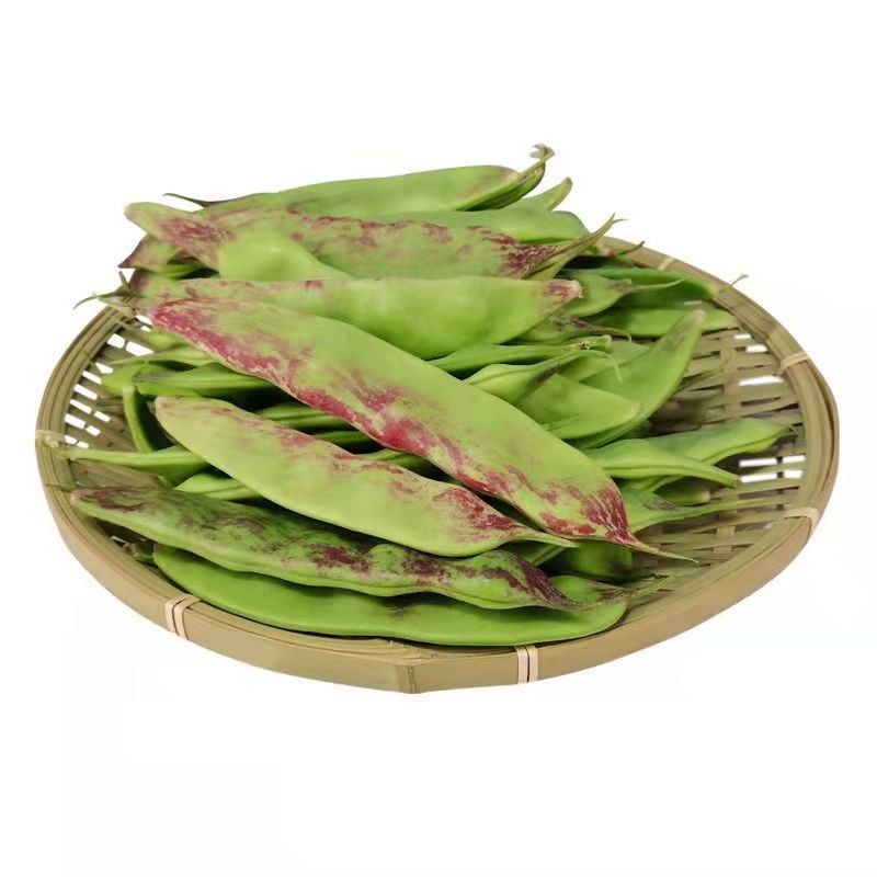一点红油豆角新鲜东北豆角九月青开锅烂宽大面豆角现摘现发包邮顺