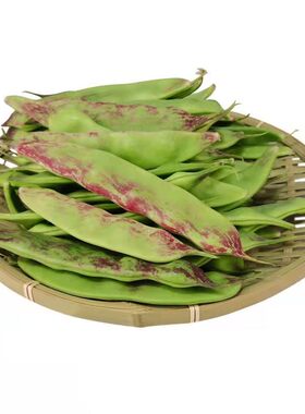 一点红油豆角新鲜东北豆角九月青开锅烂宽大面豆角现摘现发包邮顺