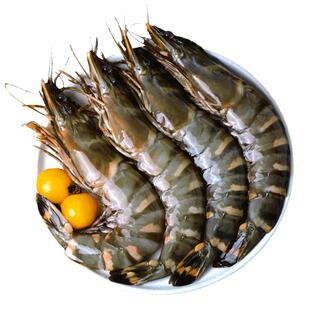 黑虎虾超大鲜活老虎虾新鲜大虾虎虾特大基围虾速冻海鲜斑竹九节虾