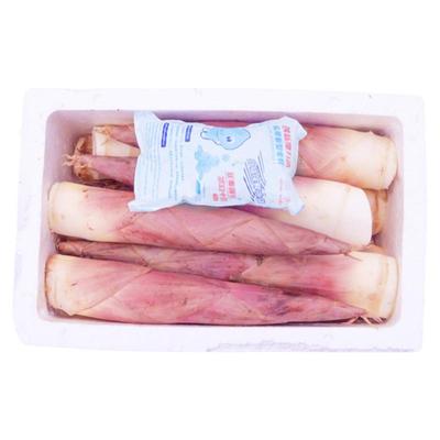 现挖现发春笋刷火锅选大笋更脆口