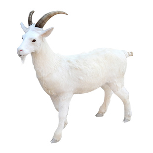 仿真山羊模型动物装饰大黑白羊奶粉店道具工艺品展厅三羊开泰摆件