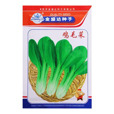 蔬菜种子当季新种发芽率高包正品