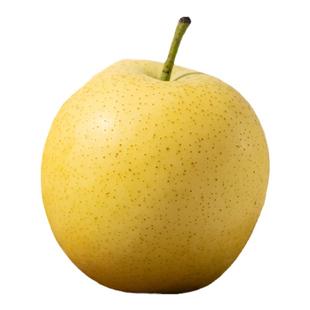 每天水果优选山西黄冠梨清甜无渣爽脆多汁孕妇水果整箱