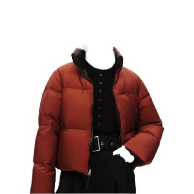 【两面穿】BLUE ERDOS秋冬白鸭绒龟背羽绒服外套女B246JF008