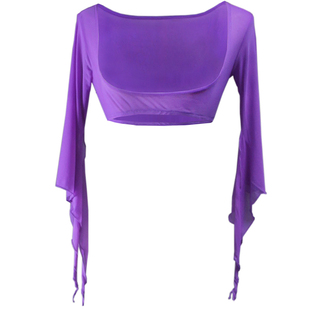 青曼舞艺春季表演服肚皮舞演出网纱上衣胸托练功纱衣披肩坎肩飘逸