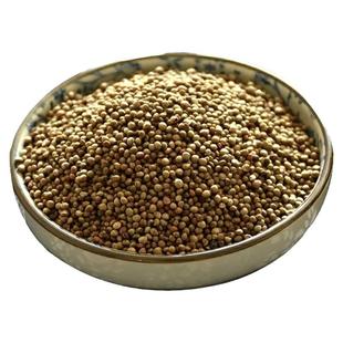 新鲜正宗熟紫苏子粉散装苏籽粒500g烘焙月饼馅料烧烤调料生熟苏子