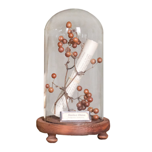 样板间轻奢植物标本装饰品玻璃罩摆件书房精油花艺中草药复古简约