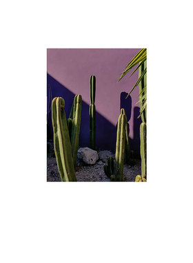北欧绿植风ins小清新海报画