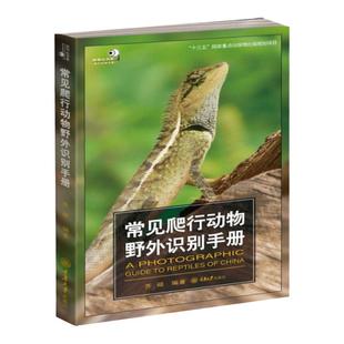 常见爬行动物野外识别手册 爬行动物知识书 两栖动物科普百科 生物世界的形态特征 少儿探秘野外动物世界大百科普图书籍